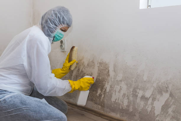 Best HVAC Mold Inspection and Cleaning  in Fritch, TX