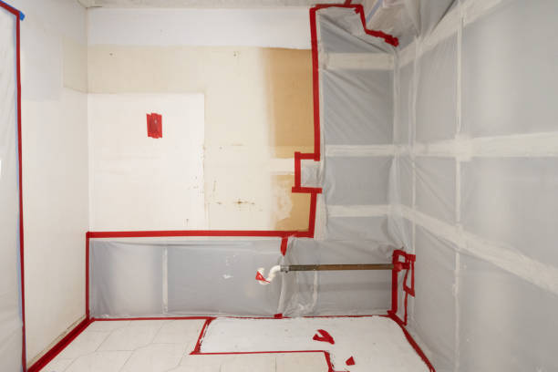 Best Comprehensive Air Testing for Mold Contaminants  in Fritch, TX